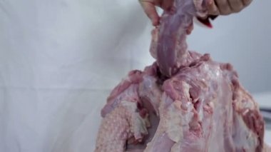 adam, buradan Türkiye'nin bir parçası keser