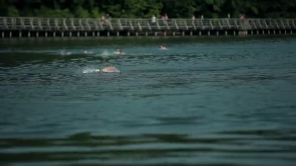 Wide shot of swimmers in lake with viewers in background — Stock Video