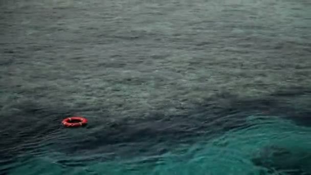 Anillo de vida nadando solo en el mar — Vídeo de stock