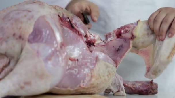 Cutting off turkey leg in butchery — Stock Video