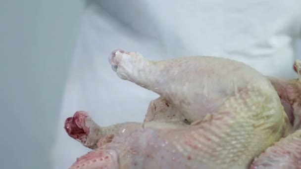 Close up on cutting away turkey leg — Stock Video