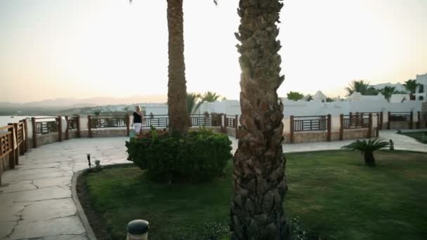 Beau parc avec vue sur la plage à Sharm — Video