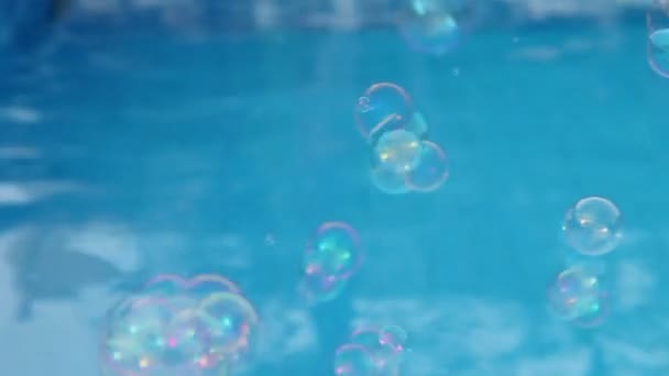 Soap bubbles at pool — Stock Video