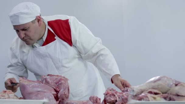 Butcher surprised what he found in turkey — Stock Video