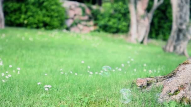 Soap bubbles on grass — Stock Video