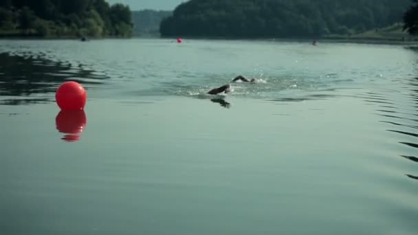 Dois nadadores atingindo o ponto de viragem na competição — Vídeo de Stock