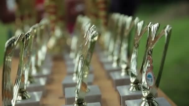 Troféu para os vencedores na mesa — Vídeo de Stock