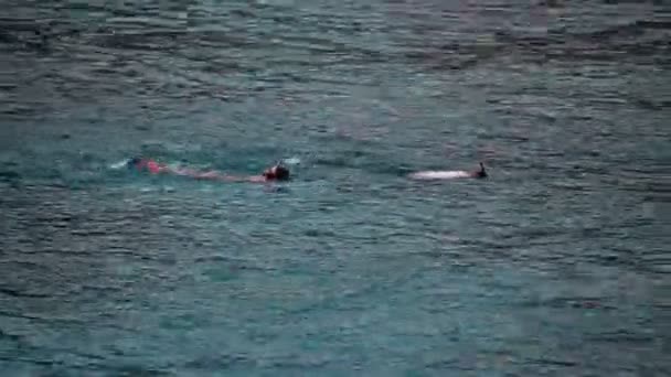 Dos jóvenes buceadores disfrutando del tiempo en el mar — Vídeos de Stock