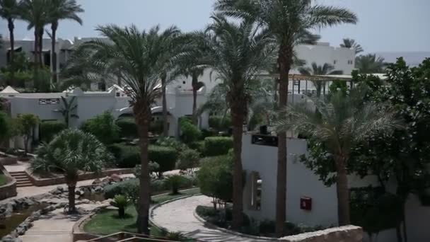 沙的建筑物和漂亮的绿色公园 — 图库视频影像