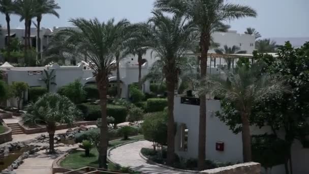 Nice green park and buildings in Sharm — Stock Video