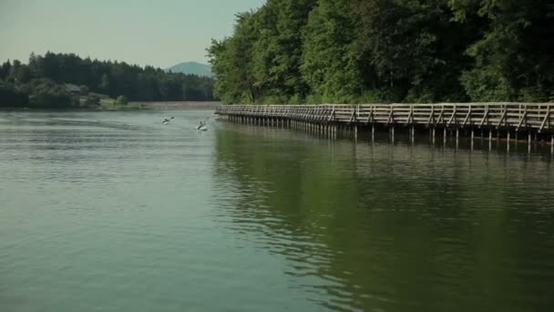 Largo tiro de kayak remando en un lago en hermoso paisaje — Vídeo de stock