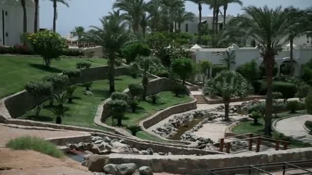 Nice green park in Sharm — Stock Video