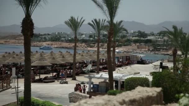 Stranden med paraplyer i sharm — Stockvideo