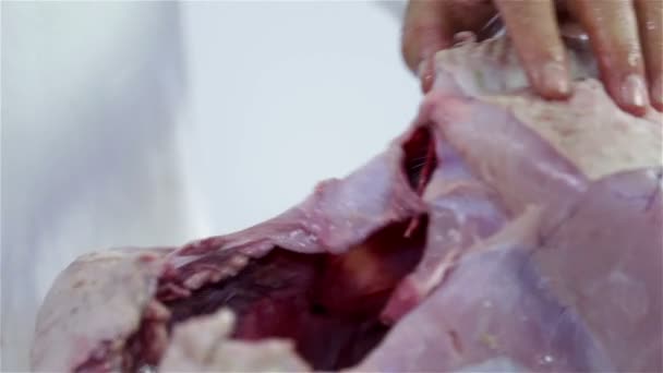 Primer plano en el corte a través de carne de pavo — Vídeos de Stock