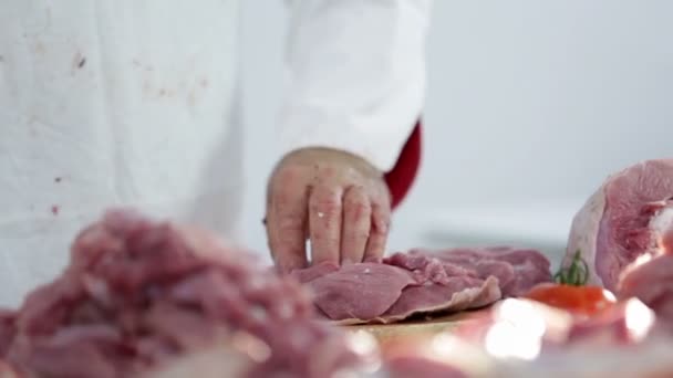 Carnicero haciendo cortes más pequeños de carne de pavo — Vídeos de Stock