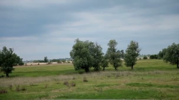 Conduzca a través del campo con paisaje de naturaleza verde — Vídeos de Stock