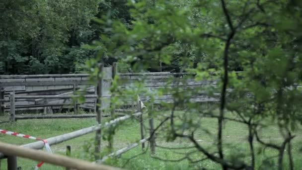 Man running in nature track — Stock Video