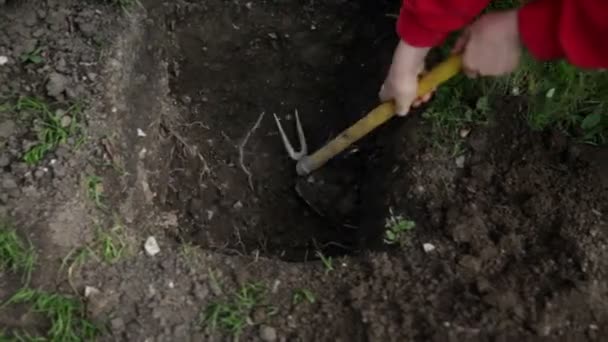 Digging a hole in garden — Stock Video