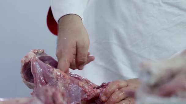 Slager reiniging van kalkoenen maag — Stockvideo