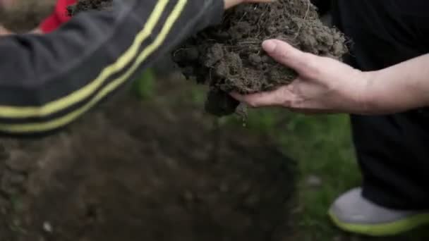 Aggiunta di sporcizia fresca alla buca scavata per la semina — Video Stock