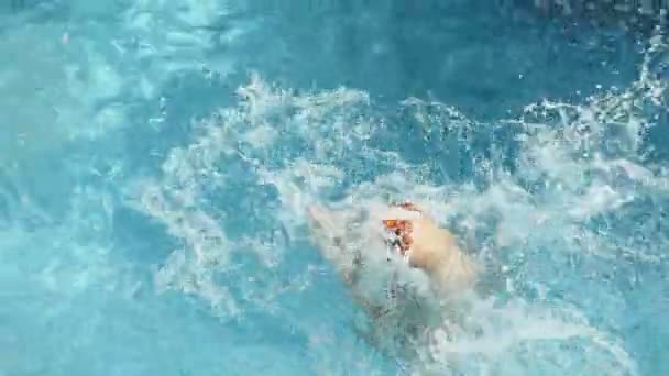 Garçon fait un rouleau dans la piscine — Video