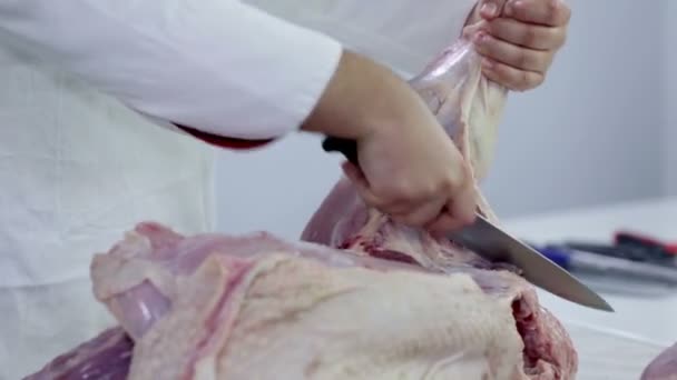 Boucher coupe gros morceau de viande de dinde — Video