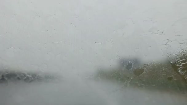 No puede ver a través del parabrisas debido a la lluvia que vierte — Vídeos de Stock