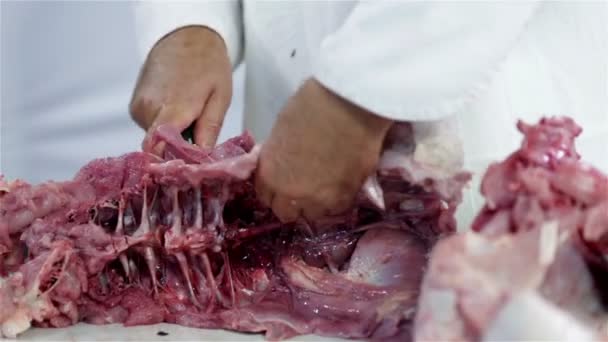 Cutting bones of turkey meat — Stock Video