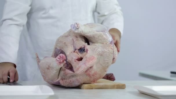 Butcher starts cutting big turkey in butchery — Stock Video