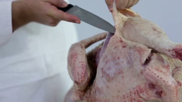 Removing skin from turkey — Stock Video