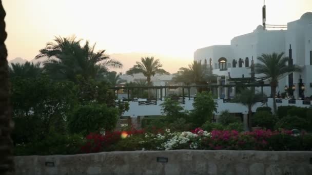 Beautiful garden with flowers in Sharm tourist place — Stock Video