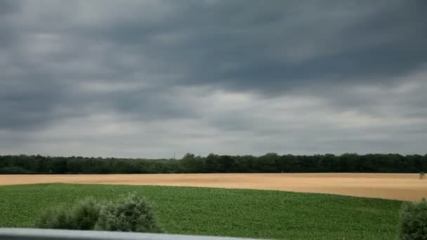 Rijden door boerderij met groen en tarwe bij bewolkt weer — Stockvideo