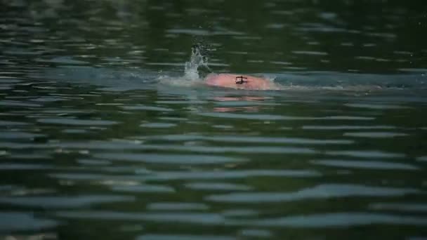Nadador disfrutando nadando — Vídeo de stock