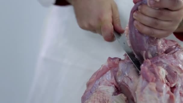 Cutting turkey neck from body — Stock Video