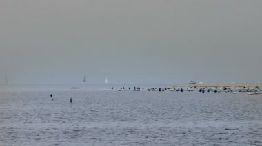Teknelerden ve gemileri ile dağınık horizont panoramik pan çekim