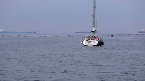 Einziges Segelboot treibt auf ruhiger Meeresoberfläche — Stockvideo