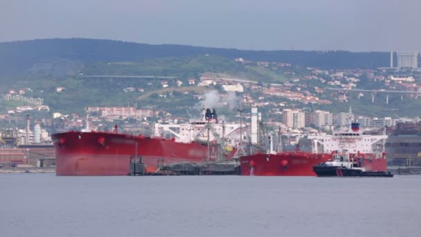 Obrovské nákladní loď před přístav — Stock video
