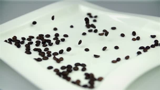 Koffie seeds valt op witte plaat en verstrooiing rond in slow motion — Stockvideo