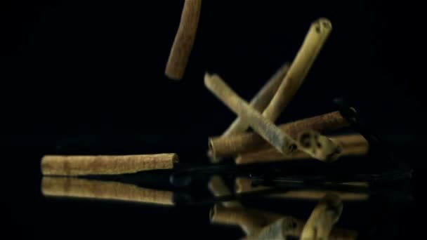 Pieces of cinnamon falling on black background — Stock Video