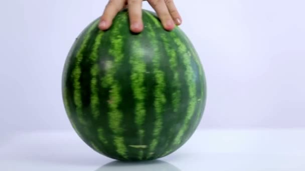 Rollen um Wassermelone auf weißem Hintergrund — Stockvideo