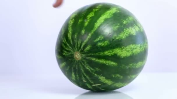 Snurrar runt stora vattenmelon på vit bakgrund — Stockvideo