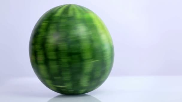 Hand rolls around watermelon on white background — Stock Video