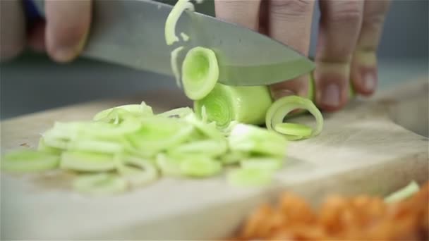 Kesme pırasa ve diğer sebzeler — Stok video