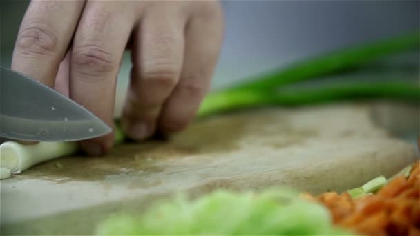Lento corte de alho-porro com faca — Vídeo de Stock