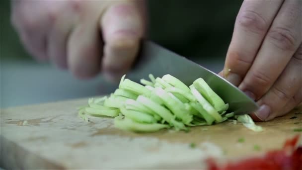 Porree mit Küchenmesser langsam aufschneiden — Stockvideo