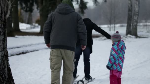 Anne ve baba arka açık bir tane büyük kayaklar üzerinde yürümek. — Stok video