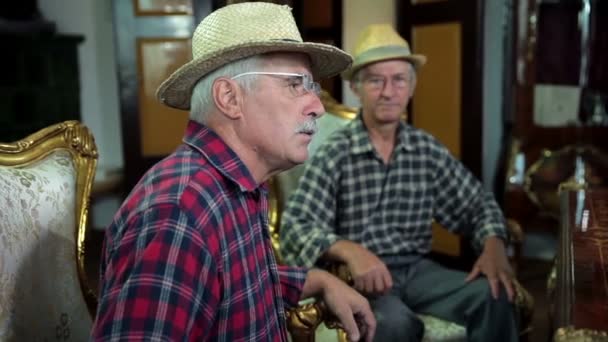 Två gamla man hävda passionerat sitter i medeltida stolar — Stockvideo
