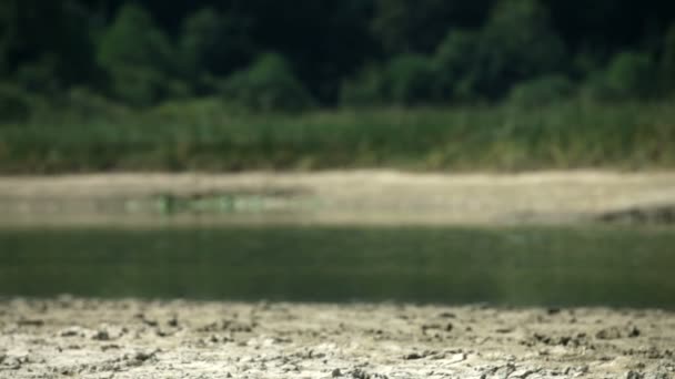 Woman in pink dress at the rivers bay — Stock Video