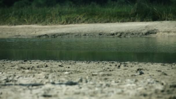 Nehir kıyısında güneş gözlüğü ile orta yaşlı kadınla — Stok video