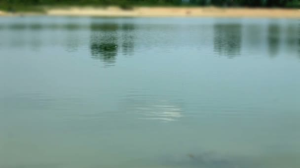 Einen Stein mit einem kleinen Spritzer in den Fluss werfen — Stockvideo